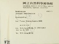 登錄號:F0025771藏品圖，第2張