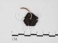 登錄號:F0025772藏品圖，第1張