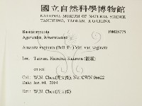 登錄號:F0025775藏品圖，第2張