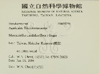 登錄號:F0025776藏品圖，第2張