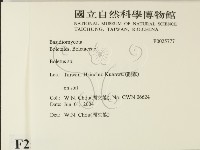 登錄號:F0025777藏品圖，第2張