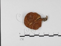 登錄號:F0025777藏品圖，第1張