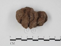 登錄號:F0025778藏品圖，第1張