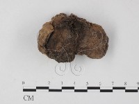 登錄號:F0025778藏品圖，第3張