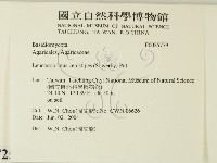 登錄號:F0025779藏品圖，第2張