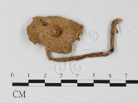 登錄號:F0025779藏品圖，第1張