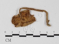 登錄號:F0025779藏品圖，第3張