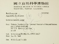 登錄號:F0025780藏品圖，第2張