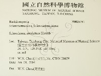 登錄號:F0025781藏品圖，第2張