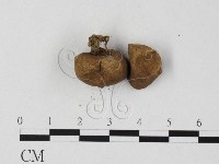 登錄號:F0025781藏品圖，第3張