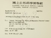 登錄號:F0025783藏品圖，第2張