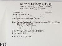登錄號:F0025784藏品圖，第2張