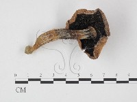登錄號:F0025784藏品圖，第3張