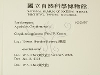 登錄號:F0025787藏品圖，第2張