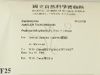 登錄號:F0025788藏品圖，第2張