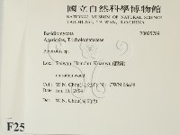 登錄號:F0025789藏品圖，第2張