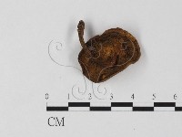 登錄號:F0025790藏品圖，第3張