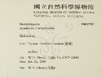 盔孢傘屬藏品圖，第2張