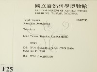 紅菇屬藏品圖，第2張