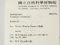 紅菇屬藏品圖，第2張