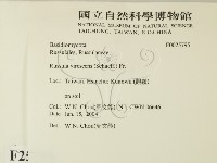 登錄號:F0025795藏品圖，第2張