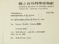 相鄰小孔菌藏品圖，第2張