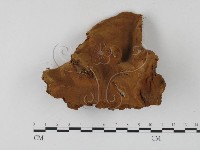 登錄號:F0025797藏品圖，第1張