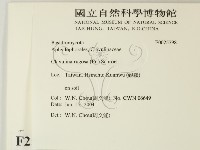 登錄號:F0025798藏品圖，第2張
