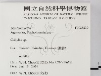 登錄號:F0025800藏品圖，第2張