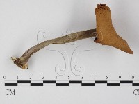 登錄號:F0025800藏品圖，第3張