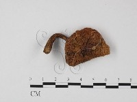 登錄號:F0025801藏品圖，第1張