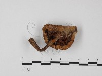 登錄號:F0025801藏品圖，第3張