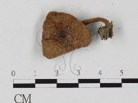登錄號:F0025802藏品圖，第1張