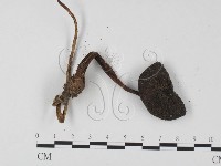 登錄號:F0025804藏品圖，第3張