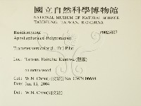 雲芝藏品圖，第2張