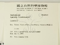 登錄號:F0025812藏品圖，第2張