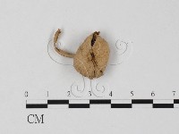 登錄號:F0025812藏品圖，第1張