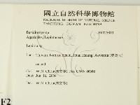 登錄號:F0025813藏品圖，第2張