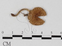 登錄號:F0025813藏品圖，第3張