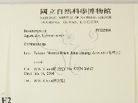 登錄號:F0025814藏品圖，第2張