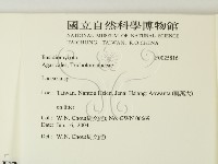 登錄號:F0025816藏品圖，第2張