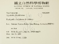 登錄號:F0025819藏品圖，第2張