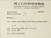 登錄號:F0025820藏品圖，第2張