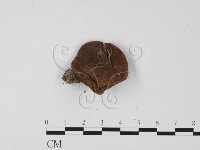 登錄號:F0025820藏品圖，第3張