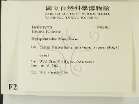 登錄號:F0025821藏品圖，第2張