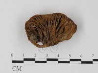 登錄號:F0025821藏品圖，第1張