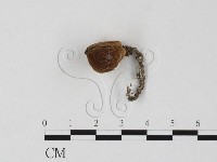 登錄號:F0025822藏品圖，第1張