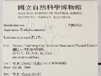 登錄號:F0025825藏品圖，第2張