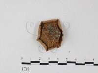 登錄號:F0025825藏品圖，第3張