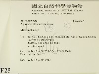 登錄號:F0025827藏品圖，第2張